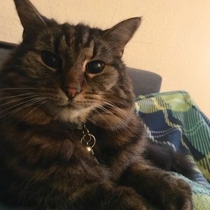 Meet your Posher, Rayen